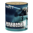 Warrior